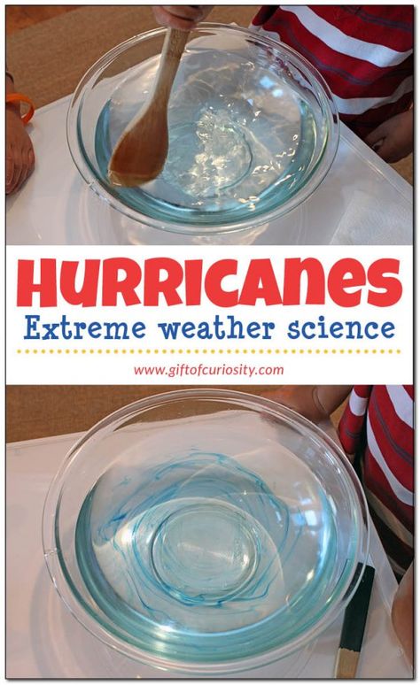 Make a hurricane in your kitchen! What a fun way extreme weather science activity. I'm going to do this with my kids. || Gift of Curiosity Clouds Craft, Weather Science Activities, Weather Unit Study, Weather Experiments, Weather For Kids, Teaching Weather, Weather Activities For Kids, Weather Lessons, Weather Worksheets