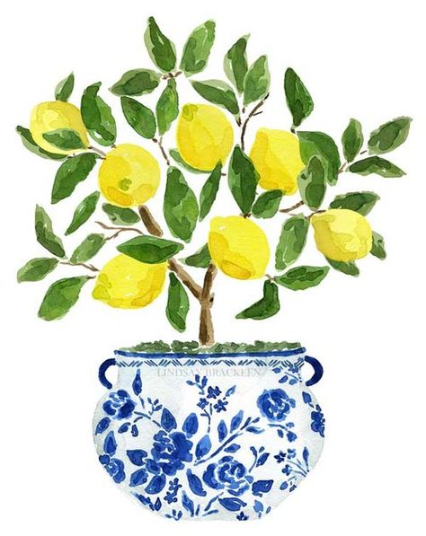 LINDSAY BRACKEEN Lemon Tree Art, Pot Art, Cat Air, Soyut Sanat Tabloları, Botanical Artwork, Arte Sketchbook, Lemon Tree, Ginger Jar, Tree Art