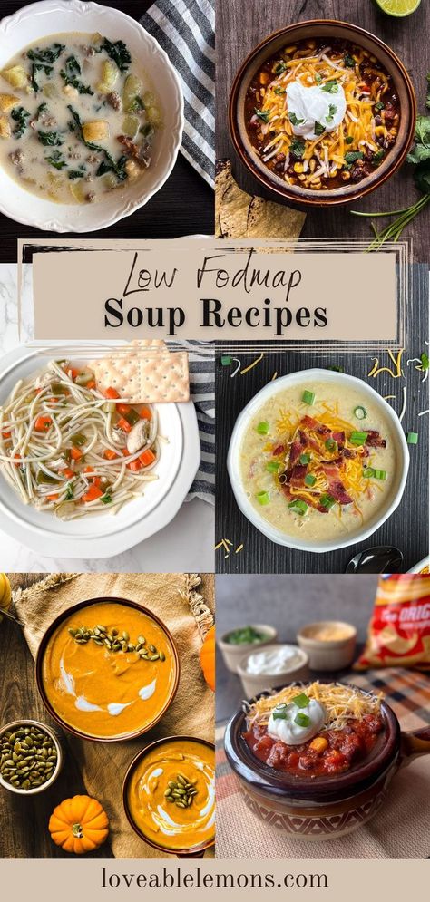 six photos of examples of soups. Fodmap Soup Recipes Crock Pot, Diverticulos Soup Recipes, Low Fodmap Recipes Soup, Low Fodmap Lentil Soup, Low Fodmap Soup Vegetarian, Low Fiber Soup, Low Fodmap Nourish Bowls, Fodmap Easy Recipes, Low Residue Soup Recipes