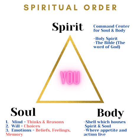 Spirit Vs Soul, The Human Spirit, Soul Vs Spirit, Seven Spirits Of God, Bible Parables, Mind Body Soul Spirit, Body Soul Spirit, Salvation Scriptures, What Is A Soul