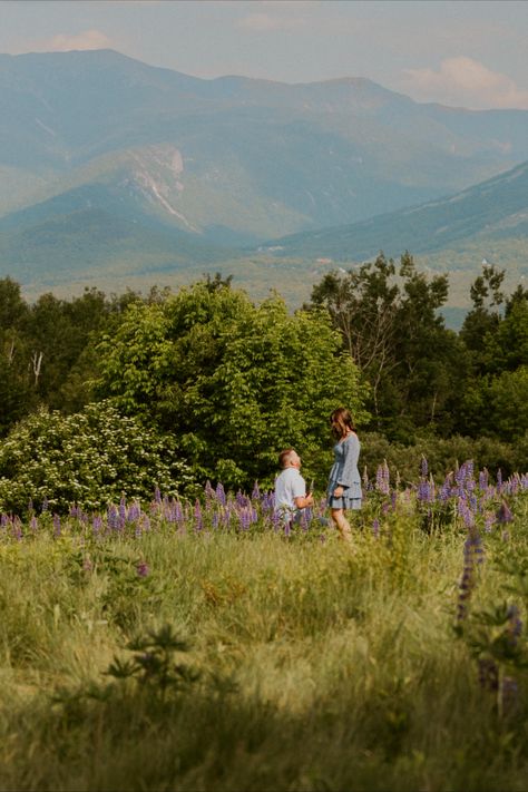 boyfriend proposing to girlfriend in Sugar Hill New Hampshire among the lupine. Field Of Flowers Proposal, Wedding Proposals Mountains, Outdoorsy Proposals, Flower Field Proposal Ideas, Proposal In Flower Field, Proposal In The Mountains, New Zealand Proposal, Lavender Field Proposal, Proposal Ideas Flower Field