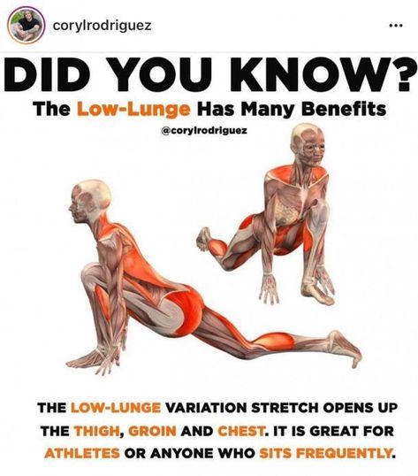 Yoga Poses Benefits, Low Lunge Yoga, Yoga Pose Benefits, Lunge Stretch, Lunges Benefits, Low Lunge, Daily Stretches, Ashtanga Vinyasa Yoga, Fitness Facts