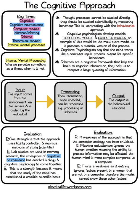 Hi! This week I am pleased to share with you some revision notes for the cognitive approach. I hope that these are useful for you and that they help you with learning the key features of this appr… Mcat Psychology Notes, What Is Psychology Notes, Sociology Notes Student, Criminology Notes Ideas, Approaches Psychology, Biopsychology Notes, Psychology Revision, Intro To Psychology, Psychology A Level