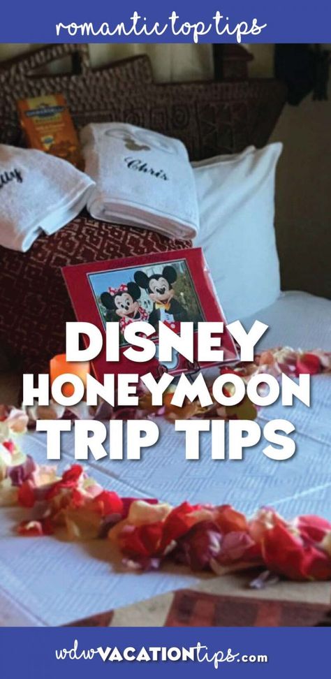 Disney World Honeymoon, Bf Ideas, Honeymoon Usa, Popular Honeymoon Destinations, Disney Inspiration, Honeymoon Tips, Top Honeymoon Destinations, Disney Honeymoon, Honeymoon Cruise