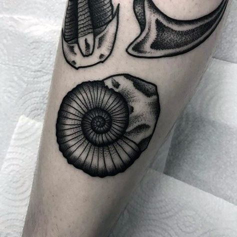 40 Ammonite Tattoo Designs For Men - Fossil Ink Ideas Bad Tattoos, Trilobite Tattoo, Ammonite Tattoo, Fossil Tattoo, Hipster Tattoo, Dinosaur Tattoos, Small Tats, Nautical Tattoo, Old School Tattoo Designs