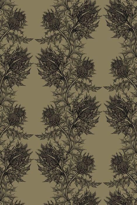 thistle wallpaper Scottish Wallpaper, Thistle Wallpaper, Thistle Print, Geo Wallpaper, Wallpaper Maker, Scottish Culture, Rock And, Timorous Beasties, Art Deco Interior Design