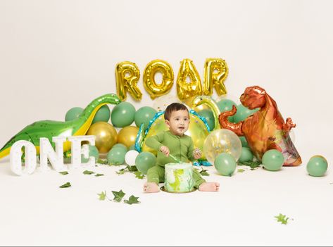 1 Year Dinosaur Pictures, Dinosaur Monthly Photos, Dinosaur Themed Photoshoot, Dinosaur Birthday Photo Shoot, Dinosaur One Year Birthday, Oneasaurus Birthday Party, Oneasaurus Birthday, Dinosaur Photoshoot, Dino Photoshoot