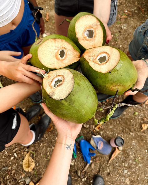 2 weeks of pura vida = good for the soul🥥🕊️✈️🦥🚿 *SAVE for an upcoming trip! So excited to share more about my most recent adventure in Costa Rica! This country quickly made its way to the top of my favorites list because of its lush rainforests, cascading roadside waterfalls, volcanos, delicious traditional foods, & endless things to do here… here’s an itinerary for you: 🌆 Days 1-2: San Jose Get acquainted with Costa Rica’s bustling capital city by exploring the architecture, parks, and nig... Tamarindo, San Jose, Costa Rica, My Favorites List, San Jose Costa Rica, Good For The Soul, Costa Rica Travel, Favorites List, Capital City