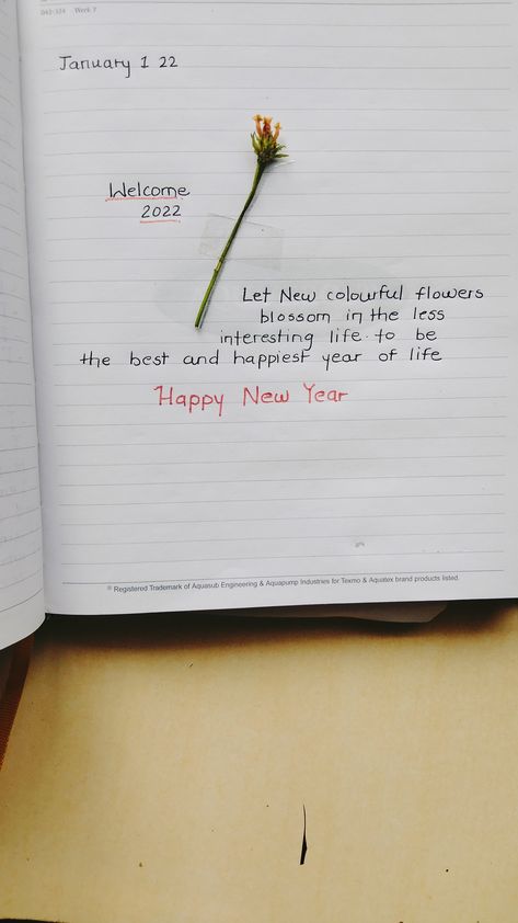 Personal Diary Decor Ideas, Drawing For Personal Diary, Ruled Diary Ideas, How To Make A Personal Diary, New Year Diary Writing, New Year Diary Ideas 2024, Picture Diary Ideas, Quotes For Diary Writing, New Year Dairy Ideas