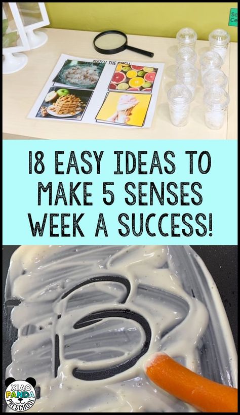 5 Senses Games For Preschool, I Hear A Pickle Activities, Senses Math Activities, Five Senses Crafts For Toddlers, 5 Senses Preschool Activities, Senses Preschool Activities, All About Me Unit, 5 Senses Preschool, Preschool Social Studies