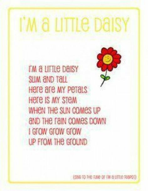 Daisy love... Songs About Flowers, Flowers Lyrics, Plant Song, Spring Lesson Plans, Flower Parts, Preschool Spring, Circle Time Songs, Spring Lessons, Classroom Songs