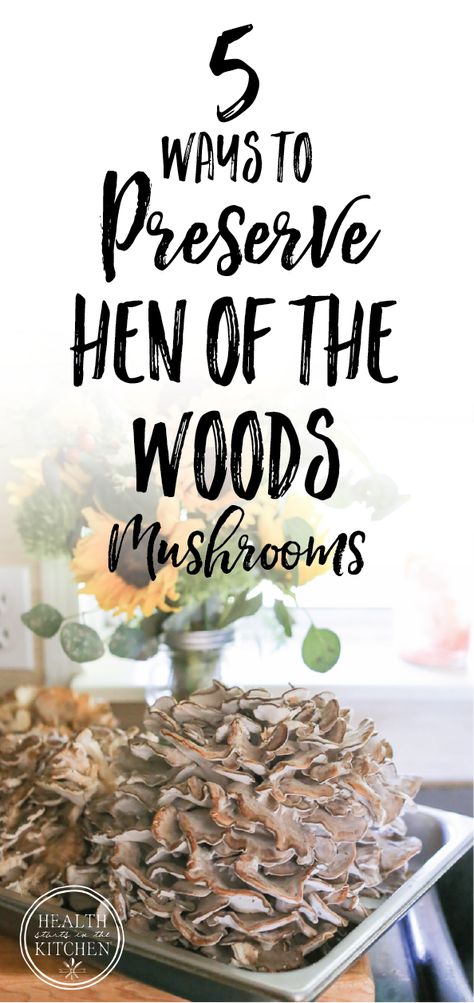 Maitake Mushroom Recipes, Wild Mushrooms Photography, Hen Of The Woods Mushroom Recipe, Hen Of The Woods Recipe, Storing Veggies, Mushroom Types, Edible Forest, Hen Of The Woods, Edible Wild Mushrooms