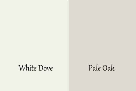 I love transforming a space and the easiest way to do that is with paint. Today we will be reviewing Benjamin Moore Pale Oak, one of BM's prettiest neutral paint colors. Pale Oak Walls White Dove Trim, Benjamin Moore Accent Wall, Pale Oak Benjamin Moore, Benjamin Moore Pale Oak, Neutral Paint Colors Benjamin Moore, Greige Paint Color, Kitchen Cabinet Color Schemes, Entryway Paint Colors, White Interior Paint