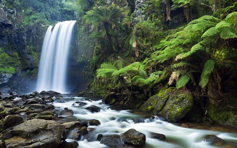 Bonito, Autumn Wallpaper Hd, Waterfall Background, Live Wallpaper For Pc, New Nature Wallpaper, Waterfall Wallpaper, Free Live Wallpapers, Cheap Wallpaper, Waterfall Landscape