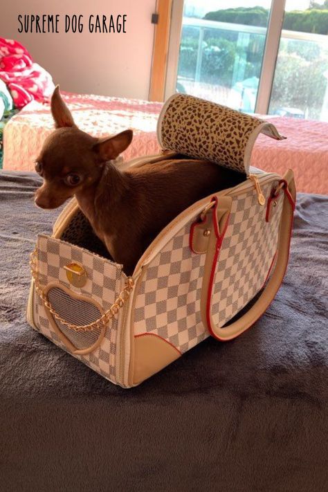 designer dog carrier Purse Puppy, Dog Purse Carrier, Louis Vuitton Dog Carrier, Dog Garage, Purse Dog, Luxury Dog Carrier, Cat Carriers, Designer Dog Accessories, Dog Carrier Purse