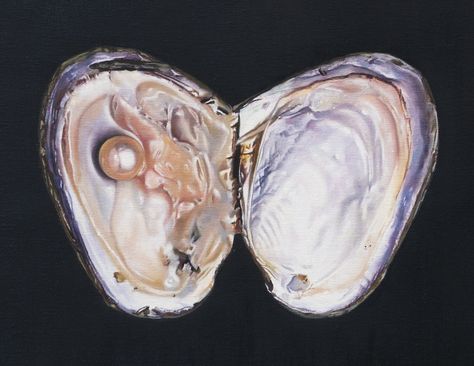 Oysters Aesthetic, Text And Image, Oyster Art, Pillars Of Eternity, Shell Painting, Her Aesthetic, The World Is Your Oyster, World Is Your Oyster, Dog Motif