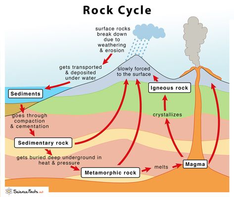 Rock Cycle – Definition, Steps, Importance, Diagram The Rock Cycle Diagram, Rock Cycle Diagram, The Rock Cycle, Different Types Of Rocks, Rock Science, Color Definition, Weathering And Erosion, Rock Cycle, Growth Mindset Posters