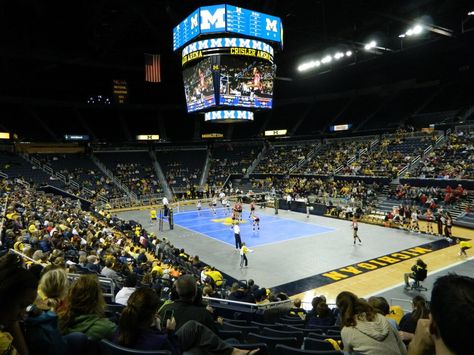 Crisler Arena hosts a home Michigan volleyball game. Ann Arbor, MI. Volleyball, Michigan Volleyball, Volleyball Games, Go Blue, Ann Arbor, Sport Event, Arbor, Ice Blue, Behind The Scenes