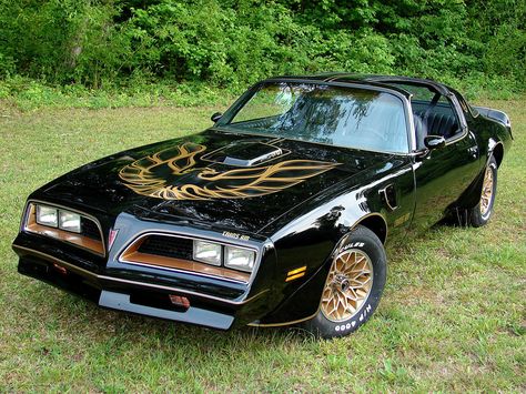 Pontiac Firebird Trans Am ...Hello 80's! This car's wearing gold eyeliner, and a whole lotta attitude to match. 1977 Trans Am, 1978 Pontiac Trans Am, Firebird Car, Mercedes Benz 300sl, Pontiac Trans Am, Tv Cars, Smokey And The Bandit, Pontiac Firebird Trans Am, Firebird Trans Am