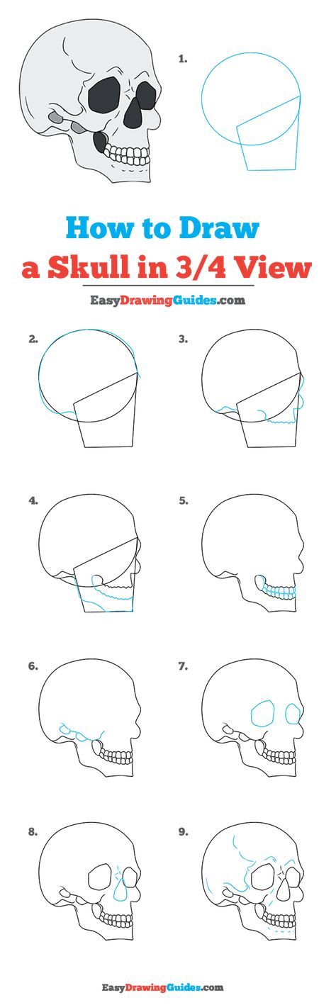 How to Draw Skull in 3/4 View Step By Step Drawing Skull, Graffiti Drawing Step By Step, Skull Step By Step Drawing, How To Draw A Skeleton Step By Step, How To Draw Skulls Step By Step, How To Draw A Skull, Skull Drawing Easy, Draw A Skull, Easy Skull Drawings