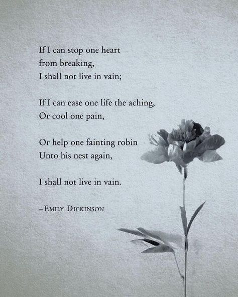 Rachel Core, Poems By Famous Poets, Nature Poems, Selamat Hari Valentine, Most Famous Poems, Emily Dickinson Quotes, Dickinson Poems, Tatabahasa Inggeris, Emily Dickinson Poems