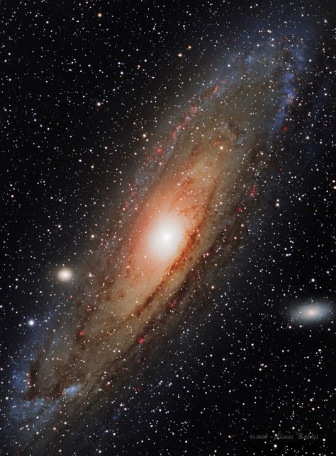 An astrophotograph by Almos Balasi on AstroBin Mooncore Aesthetic, Astronomy Pictures, Galaxy Images, Galaxy Pictures, Andromeda Galaxy, Space Pictures, Space Time, Space And Astronomy, Alam Semula Jadi