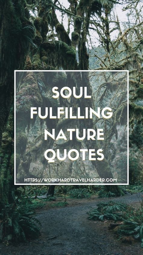 Nature, Quotes About Forest Nature, Spend Time In Nature Quotes, Quotes Forest Nature, In Love With Nature Quotes, Magic Of Nature Quotes, Earthing Grounding Quotes, Nature Recharge Quotes, Feel Nature Quotes