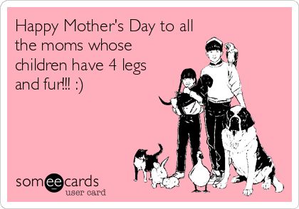 Happy Mother's Day to all Moms, Grandmas, Step Moms, Foster Moms, those Moms in Heaven and to all my friends that are now Moms! Love Ya! | Mother's Day Ecard Humour, Holidays Quotes, Dog Mothers Day, Pet Mom, Fur Mom, Fur Mama, Funny Mothers Day, Mothers Day Quotes, Funny Mother
