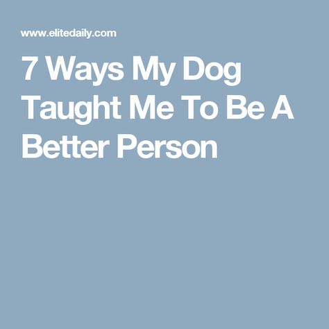 7 Ways My Dog Taught Me To Be A Better Person Cavalier King Charles, King Charles Puppy, Elite Daily, Teaching Life, Better Person, Cavalier King, Be A Better Person, King Charles, My Dog