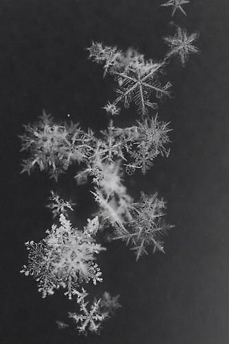 Snowflake Photos, Christmas Aesthetic Wallpaper, Winter's Tale, Black Christmas, Winter Wonder, Black And White Aesthetic, Winter Aesthetic, Christmas Aesthetic, Christmas Wallpaper