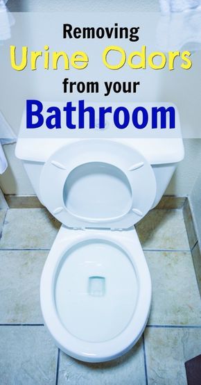 Boy Bathroom Smell, Remove Urine Smell, Toilet Odor, Boy Bathroom, Deep Clean Bathroom, Pee Smell, Enzyme Cleaner, Bathroom Odor, Urine Odor