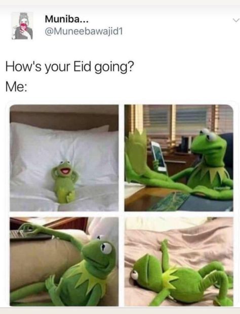 Gym Memes, Eid Gif, Eid Jokes, Excited Gif, Eid Quotes, Eid Pics, Forever Alone, Black Pink Background, Meme Page