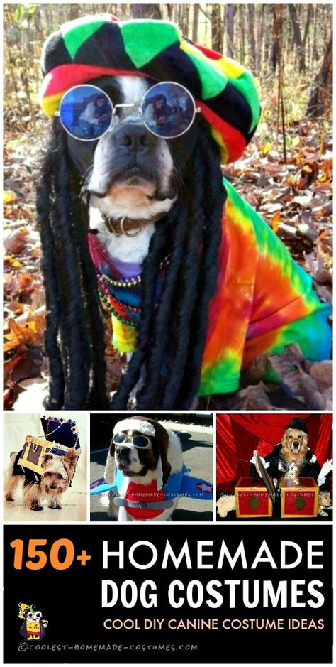 Ideas for over 150 homemade dog costumes to dress up your best friend for fun or Halloween. So much cuteness! Homemade Dog Halloween Costumes, Homemade Animal Costumes, Diy Pet Costumes, Dog Spider Costume, Dog Halloween Costumes Diy, Costumes For Dogs, Cute Dog Costumes, Funny Couple Costumes, Dog Diy
