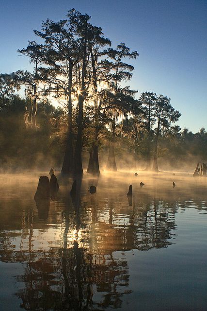 Bayou Benoit Sunrise, .- Bayou Benoit is a gut located just 12.5 miles from Saint Martinville, in St. Martin Parish, in the state of Louisiana,  near Dauterive Landing, LA. Fishermen will find a variety of fish including yellow bass, bluegill, sucker, white bass, crappie, channel catfish, sunfish and yellow perch here. Louisiana Swamp, Louisiana Bayou, New Orleans Louisiana, Nature Landscape, Sarasota, Outlander, Beautiful World, Mississippi, Beautiful Landscapes