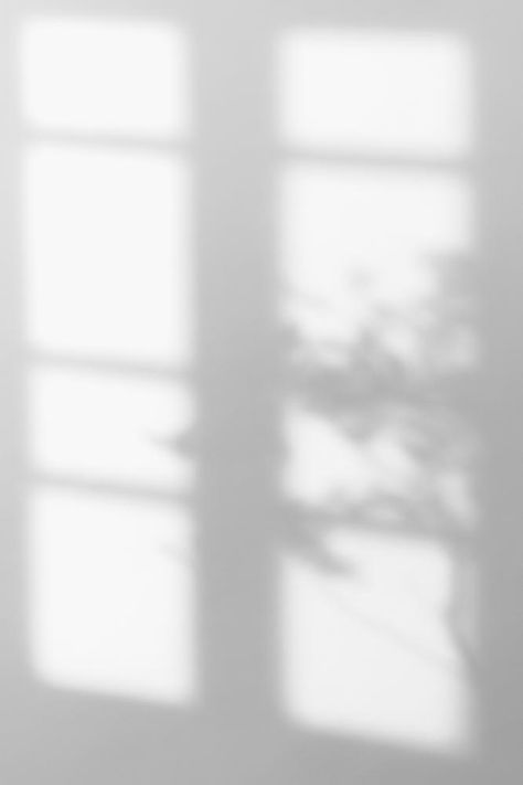 Window Shadow Background For Editing, Shadows On The Wall, Shadow On Wall Aesthetic, White Shadow Wallpaper, Light Window Aesthetic, Window Shadow Background, Window Shadow Aesthetic, Window Light Aesthetic, Aesthetic Light Wallpaper