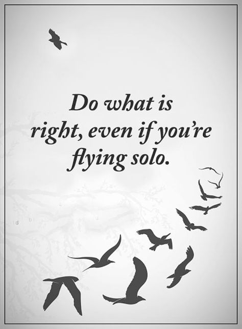 Best Inspirational Quotes : Life Sayings Do What Is Right, Flying Solo short inspirational quotes about life "Do What is right, even if You're flying solo." Quotes For Birds Life, Quotes About Birds Short, Short Bird Quotes, Quotes About Birds Inspirational, Birds Quotes Inspirational, Quotes On Birds, Bird Quotes Short, Bird Quotes Inspirational Short, Do What Is Right Quotes