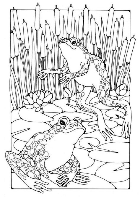 Frog Coloring, Frog Coloring Pages, Coloring Pages For Grown Ups, Free Coloring Sheets, Adult Colouring Pages, Frog Art, Color Magic, Animal Coloring Pages, Free Printable Coloring Pages