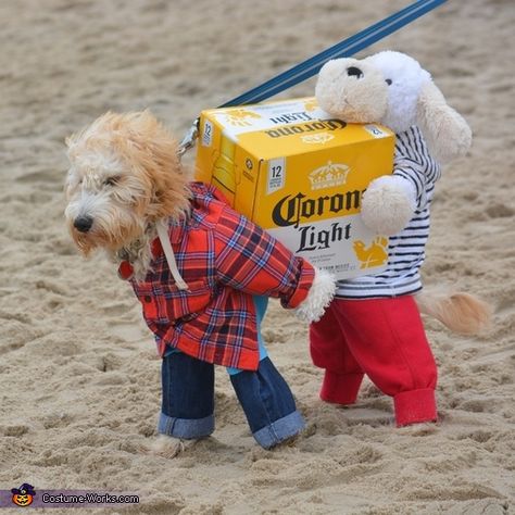 Vania: My goldendoodle Luna and her pal getting ready to start happy hour on the beach! I got inspired by all the costumes of dogs carrying stuff, and wanted to make... Best Dog Halloween Costumes, Dog Halloween Costumes Diy, Cat Costume Diy, Beer Costume, Fancy Dress Ideas, Memes Dog, Tattoo Dog, Puppy Costume, Dog Diy