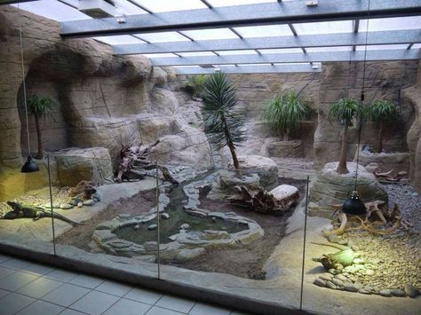 Zoo Architecture, Bartagamen Terrarium, Pond Ecosystem, Indoor Pond, Snake Enclosure, Bearded Dragon Habitat, Tortoise Enclosure, Turtle Habitat, Reptile House