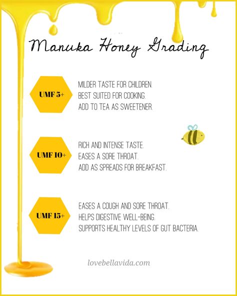 Manuka Honey is a type of honey produced by bees in New Zealand that pollinates the Manuka bush. The unique properties in these species of plants pollinated by these bees produces antibacterial properties and essential nutrients that supports immunity, healing and overall wellness. It is also a great energy source and natural sweetener. Benefits Of Local Honey, Local Honey Benefits, Gut Health Foods, Benefits Of Manuka Honey, Honey Facts, Tattoo Bee, Honey Health Benefits, Manuka Honey Benefits, Bee Tattoos