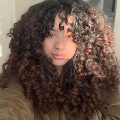 Alexa | Curly Hair Tips on Instagram: “A tiny bit of sunlight ⛅️ ⠀ ⠀ This is the wash routine for these curls ✨first I prepoo with the innate life oil, then Curlsmith detox…” Curly Hair Subliminal, Thick 2c Hair, 2c Bangs, Brushed Out Curly Hair, Long 3a Hair, Long 3b Curly Hair, Long Curly Hair With Bangs And Layers, Curly Big Hair, Volume Curly Hair