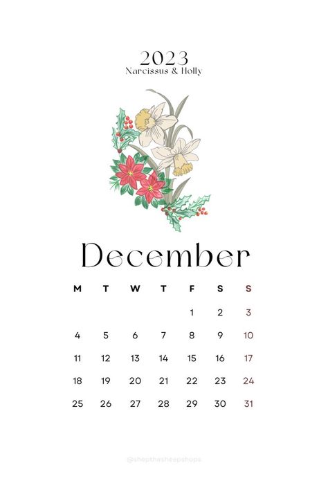 December 2023 simple calendar with birth month flower theme December Month Calendar 2023, 2023 Calendar December, December Calendar 2023 Aesthetic, December Calander, 2023 December Calendar, December Month Calendar, Calendar December 2023, December Calendar 2023, Dec Calendar