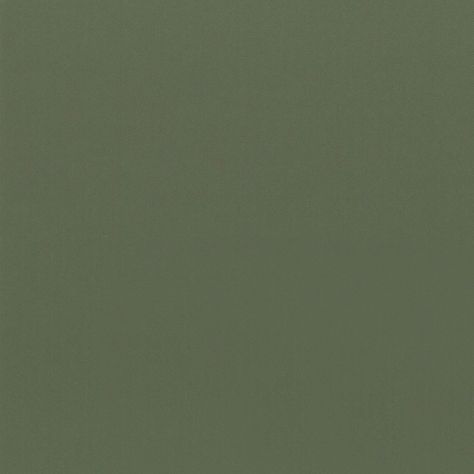 Olive Green Wallpaper, Sage Green Wallpaper, Dark Green Aesthetic, Solid Color Backgrounds, Olive Green Color, Colour Pallete, Color Analysis, Aesthetic Colors, Green Wallpaper