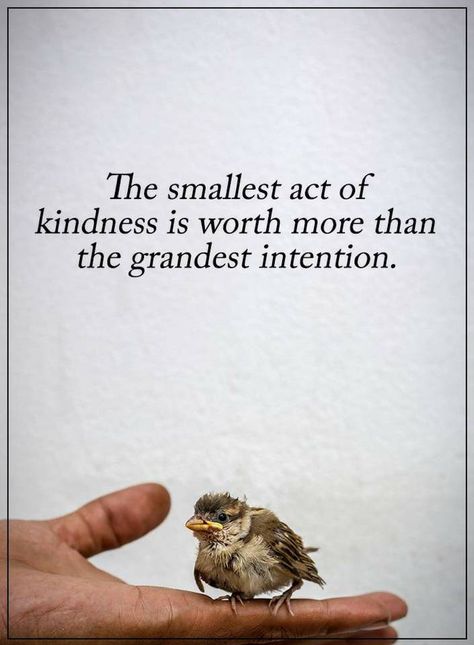 Acts Of Kindness Quotes, Act Of Kindness Quotes, Financial Intelligence, Act Of Kindness, Small Acts Of Kindness, Acts Of Kindness, Kindness Quotes, Wonderful Words, Animal Quotes