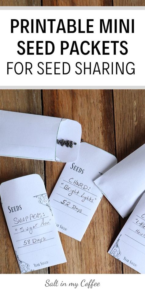 These mini printable seed packets are just the right size for sharing seeds! via @saltinmycoffee Permaculture, Diy Seed Storage, Seed Packet Printable, Printable Seed Packets Templates, Seed Packets Diy Free Printable, Seed Organization Ideas, Seed Packets Diy, Seed Storage Ideas, Free Printable Seed Packets