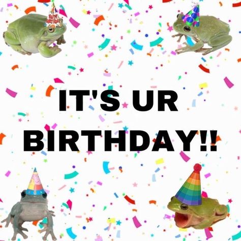 Frog Pictures, Výtvarné Reference, Lol Memes, Birthday Meme, Cute Messages, Happy B Day, Cute Frogs, Cute Memes, Funny Reaction Pictures