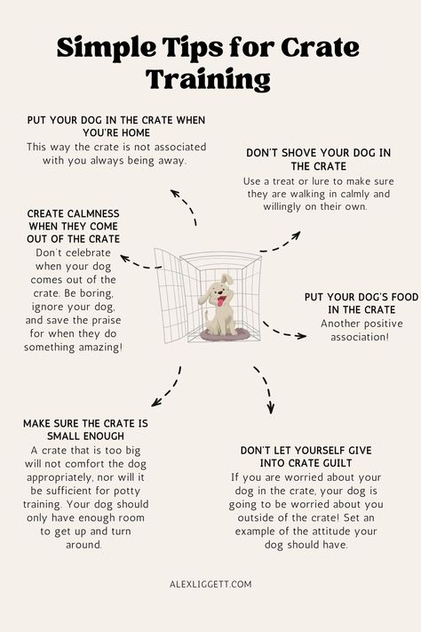 Simple Tips for Crate Training Dog Training, Crate Train, Train Your Dog, Crate Training, Easy Steps, Train