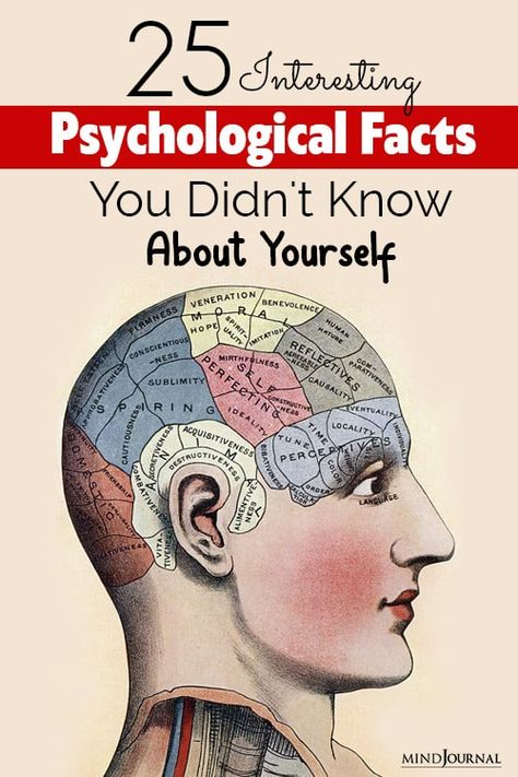 Psychological Facts Interesting Feelings, Human Behavior Psychology Facts, Facts About Yourself, Human Behavior Psychology, Interesting Health Facts, Loss Of Motivation, Evolutionary Psychology, Learn Hacking, Psychology Humor