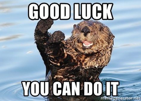 #YouCanDoItMemes, #YouCanDoItMemeFunny, #YouCanDoItMemeImages, #YouCanDoItMemeGirl, #YouCanDoItMemeGif, #ICanDoItMeme, Encouragement Meme, Funny Motivational Memes, Good Luck For Exams, Exams Memes, You Can Do It Quotes, Funny Motivation, Motivational Memes, Bon Courage, Funny Motivational Quotes