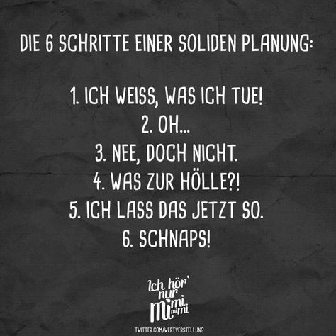 6 Schritte einer soliden Planung: 1. Ich weiß, was ich tue! 2. Oh ... 3. Nee, dich nicht. 4. Was zur Hölle?! 5. Ich lass das jetzt so. 6. Schnaps! Funny Quotes, Funny Facts, Wise Words, Humour, Family Quotes, Picture Quotes, Sarcasm Humor, Visual Statements, Amazing Quotes